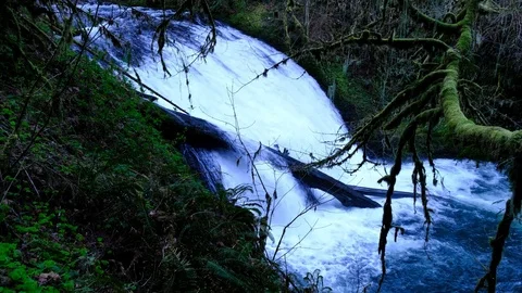 Lower North Falls, Silver Falls State Park, Oregon - Side View Stock Footage 74249262