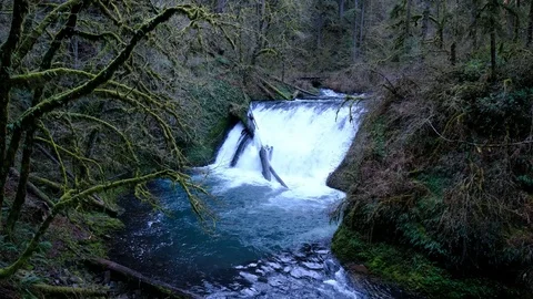 Lower North Falls, Silver Falls State Park, Oregon Stock Footage 74249264