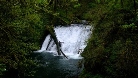 Lower North Falls, Silver Falls State Park, Oregon Stock Footage 89805716