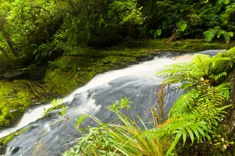 Lower part of mac lean falls in the catlins Foto stock