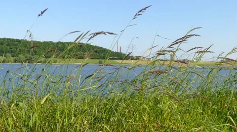 Lower Rhine Germany Stock Footage 52697973