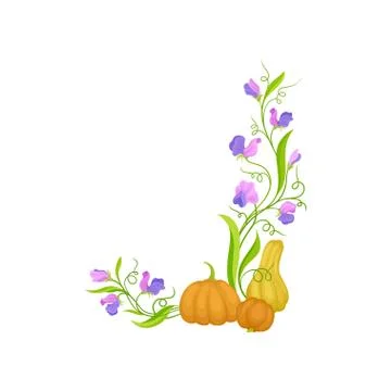 Lower right corner with the high side of the stalks with pumpkins. Vector Stock Illustration