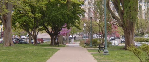 Lower Senate Park Pathway Video stock 238049543