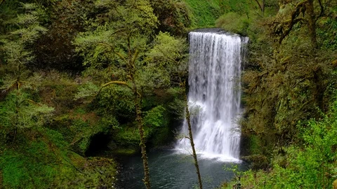 Lower South Falls, Silver Falls State Park, Oregon Stock Footage 89805712