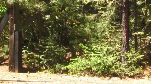Lower steam train passing 2 Stock Footage 475304