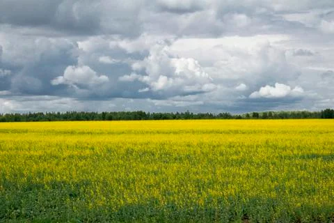 Lower tavda 写真素材