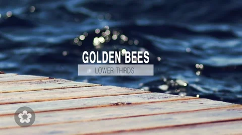 Lower Third Stock After Effects