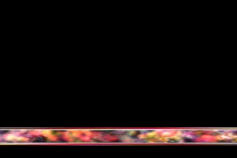 Lower third overlay with alpha ntsc 21 Stock Footage 340120