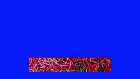 Lower third with a red chili pattern Stock Footage 240600761