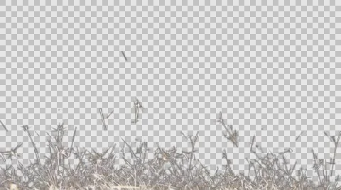 Lower Third Sparklers Alpha Channel. Frame Spark Stock Footage 58875154