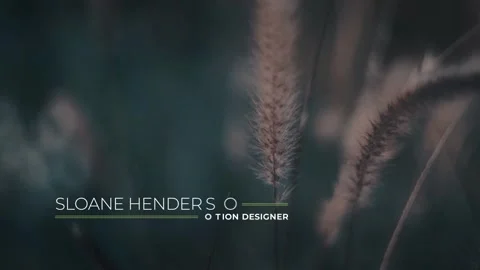 Lower Thirds After Effects stock