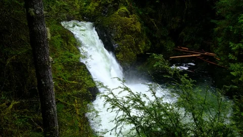 Lower Wallace Falls, Wallace Falls State Park, Washington 스톡 동영상 89849729