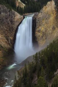 Lower Yellowstone Falls Stock Photos