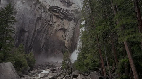 Lower Yosemite Fall revealed through tall pine trees Stock-Footage 347987121