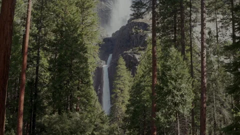 Lower Yosemite Fall seen through dense conifer forest Video stock 347987600