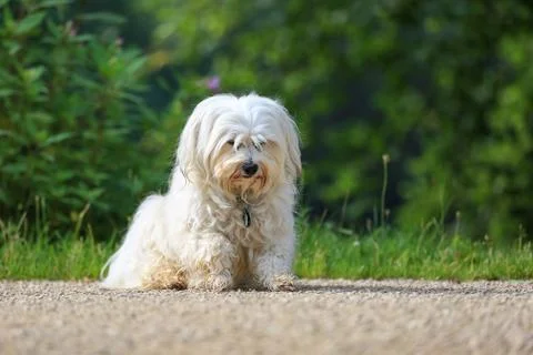 Lowered main Stock Photos