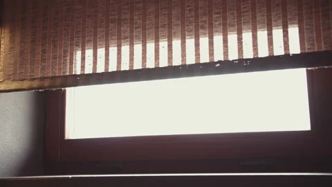 Lowering the blinds covering a narrow rectangular window, close-up Stock Footage 156618819