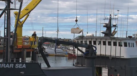 Lowering Goods to Hold of Ship by Crane Stock Footage 8564629
