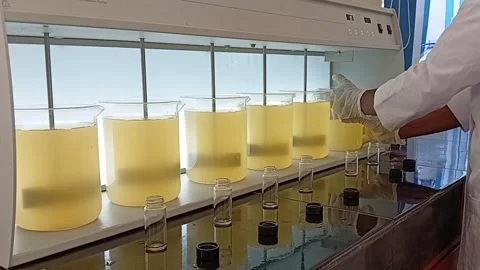 Lowering Stirrers into Flocculation Beakers Video stock 333298354