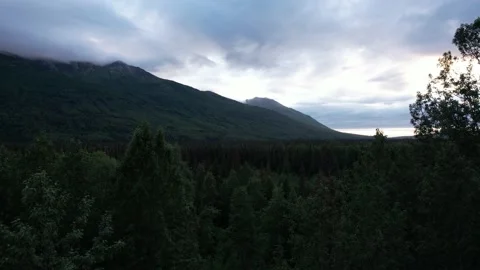 Lowering into Trees in Alaska Stock Footage 217849410