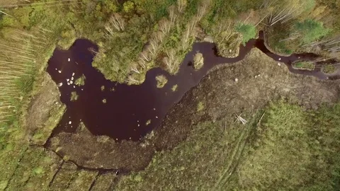 Lowering vertical aerial view of a constructed wetland for water treatment in Stock Footage 70528098
