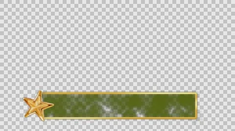 LowerThird Green Stock Footage 58314294