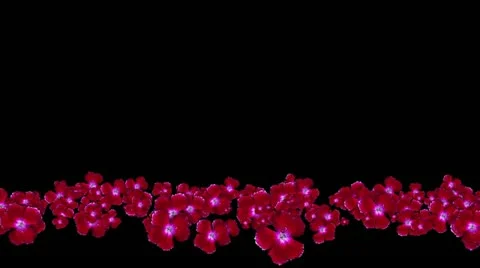 Lowerthird single particle 01 track matte 01 Stock Footage 11427528