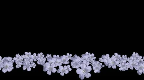 Lowerthird single particle 04 track matte 01 Stock Footage 11427613