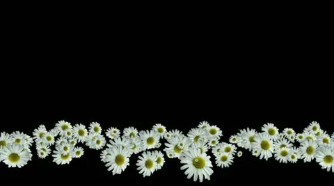 Lowerthird single particle 06 track matte 01 Stock Footage 11427658