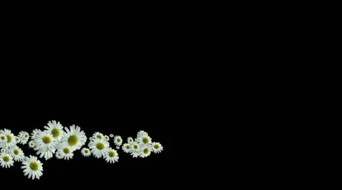 Lowerthird single particle 06 track matte 02 Stock Footage 11427668