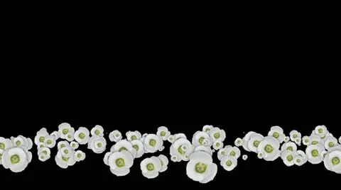 Lowerthird single particle 07 track matte 01 Stock Footage 11427678