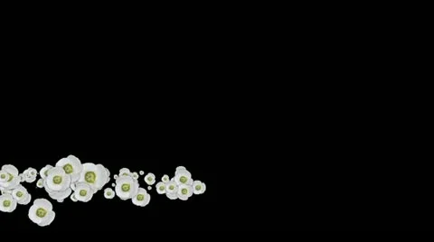 Lowerthird single particle 07 track matte 02 Stock Footage 11427683