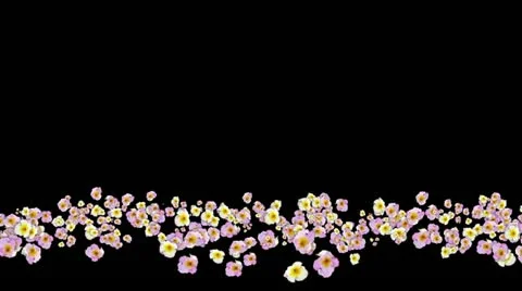 Lowerthird single particle 09 track matte 01 Stock Footage 11427740