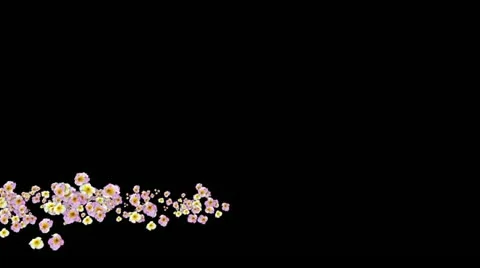 Lowerthird single particle 09 track matte 02 Stock Footage 11427752