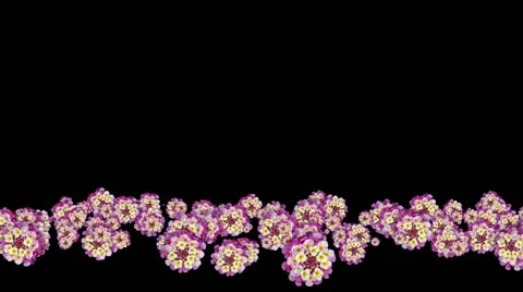 Lowerthird single particle 10 track matte 01 Stock Footage 11427773