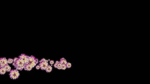 Lowerthird single particle 10 track matte 02 Stock Footage 11427786