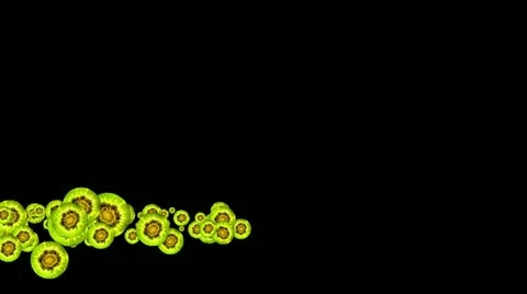 Lowerthird single particle 11 track matte 02 Stock Footage 11427818