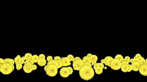 Lowerthird single particle 12 track matte 01 Stock Footage 11427829