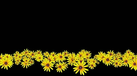 Lowerthird single particle 13 track matte 01 Stock Footage 11427857