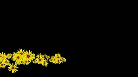 Lowerthird single particle 13 track matte 02 Stock Footage 11427880