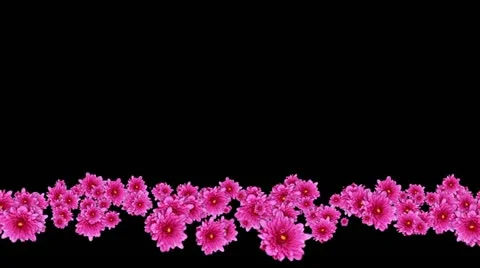 Lowerthird single particle 14 track matte 01 Stock Footage 11427900