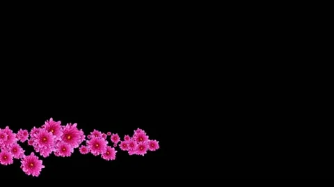 Lowerthird single particle 14 track matte 02 Stock Footage 11427913