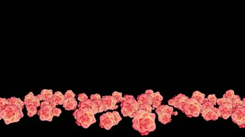 Lowerthird single particle 15 track matte 01 Stock Footage 11427928