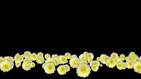 Lowerthird single particle 16 track matte 01 Stock Footage 11427955