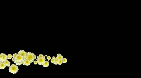 Lowerthird single particle 16 track matte 02 Stock Footage 11427964