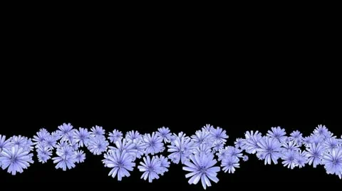 Lowerthird single particle 20 track matte 01 Stock Footage 11428065