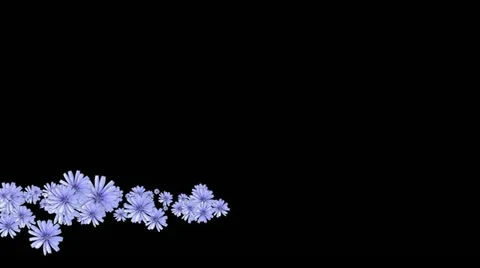 Lowerthird single particle 20 track matte 02 Stock Footage 11428079