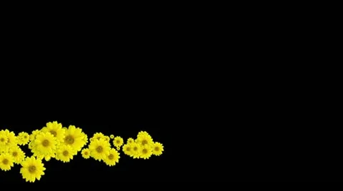 Lowerthird single particle 21 track matte 02 Stock Footage 11428097