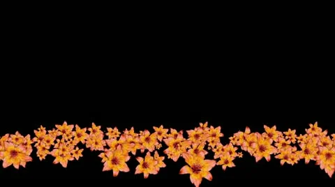 Lowerthird single particle 23 track matte 01 Video stock 11428135