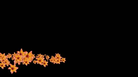 Lowerthird single particle 23 track matte 02 Stock Footage 11428155